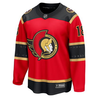 Ottawa Senators Alternate