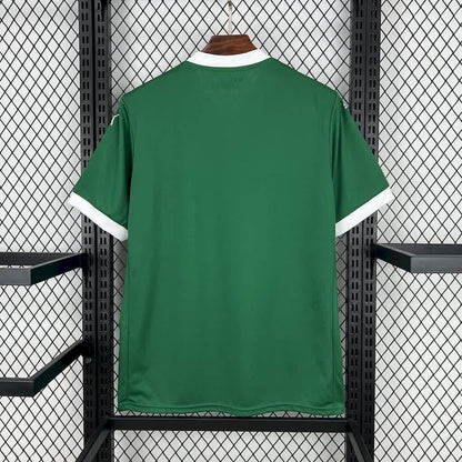 Palmeiras home tee 2025/26