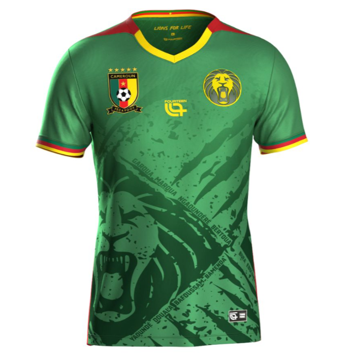 Cameroon home 25/26 tee