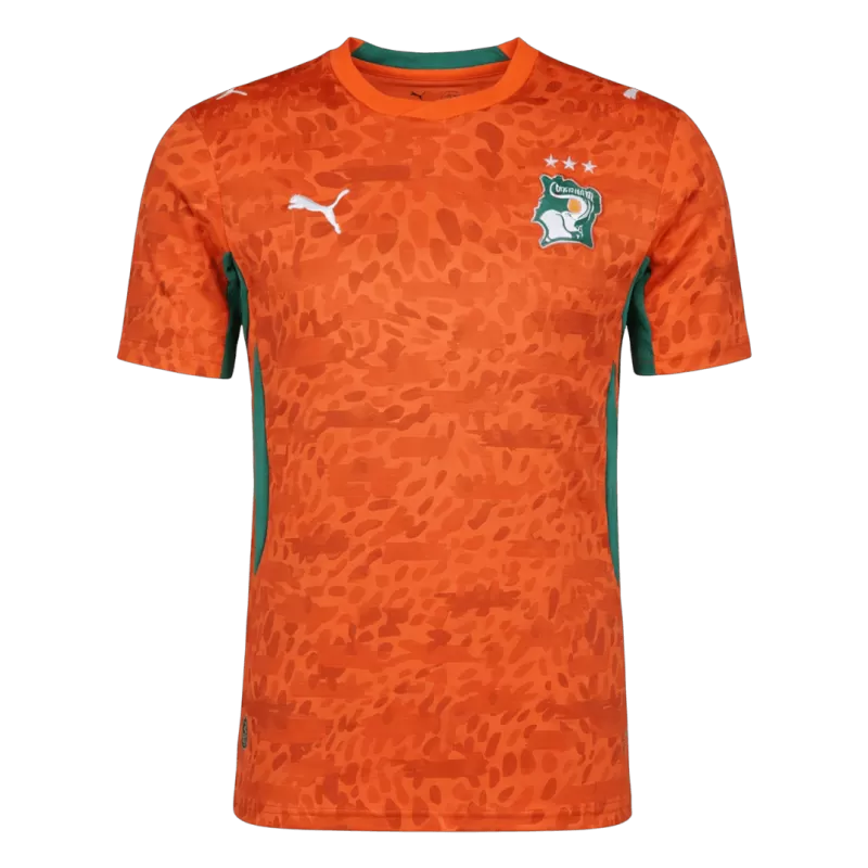 Côte d'Ivoire Home 25/26 tee